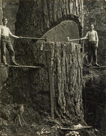(LUMBER INDUSTRY) Binder containing 36 occupational photographs depicting woodlands in Portland,